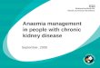 Anaemia management in people with chronic kidney disease September, 2006