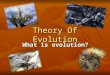 Theory Of Evolution What is evolution?. The Origin Of Species The tumult in the middle of the 19° century was accompanied by the publication of Darwins