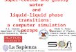 Super-cooled and glassy water and liquid-liquid phase transitions: a computer simulation perspective Peter H. Poole Department of Physics St. Francis Xavier