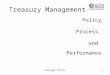 Copyright anbirts1 Treasury Management Policy Process and Performance