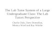 The Lab Tutor System of a Large Undergraduate Class: The Lab Tutors Perspective Charlie Daly, Dave Donnellan, Monica Ward and Ray Walshe