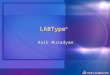 LABType ® Haik Muradyan. Key Points Do I have to run a gel in conjunction with the LabType ® assay? Gel confirms successful amplification Ensures generation