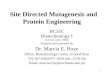 1 Site Directed Mutagenesis and Protein Engineering BC35C Biotechnology I (Lecture notes 2004) Prepared and presented by Dr. Marcia E. Roye Office: Biotechnology