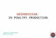 1 NEOPREDISAN IN POULTRY PRODUCTION Technical Department Bedson Africa