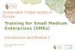 Training of SMEs operators Place, date Sustainable Timber Action in Europe Training for Small Medium Enterprises (SMEs) Introduction and Module 1