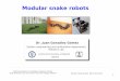 Modular Snake Robots
