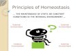 Principles of Homeostasis... THE MAINTENANCE OF STATIC OR CONSTANT CONDITIONS IN THE INTERNAL ENVIRONMENT... External Environment Internal Environment