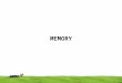 MEMORY. Programs and the data are stored in the memory of the computer Ideally, the memory would be fast, large, and inexpensive. Unfortunately, it is