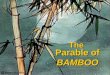 The Parable of BAMBOO The Parable of BAMBOO. Once upon a time… in the heart of the Eastern Kingdom lay a beautiful garden