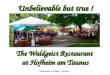 Unbelievable but true ! The Waldgeist Restaurant at Hofheim am Taunus Automatic scrolling - Sound…