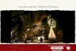 Lourdes and the Shrines of France. Included Features PARIS: Welcome and farewell dinners; guided sightseeing, visit Notre Dame Cathedral, the Basilica