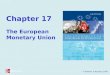 © Baldwin & Wyplosz 2006 Chapter 17 The European Monetary Union
