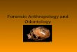 Forensic Anthropology and Odontology. Forensic Anthropology the study of human skeletal remains to determine sex, age, race, and time of death in an effort