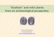 Ecofacts and relict plants from an archaeological perspective Anna Andréasson ArchaeoGarden 