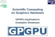 Scientific Computing on Graphics Hardware GPGPU Applications Examples Showcase