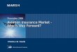 Aviation Insurance Market - Which Way Forward? November 2006 Charles.J.B. Searle