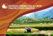 PUNJAB CHEMICALS & CROP PROTECTION L IMITED. C ONTENTS About PCCPL Industry structure Business model Agro Chemicals Divisions Two key acquisitions & benefits