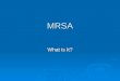 MRSA What is It?. MRSA Methicillin-resistant staphaureus (MRSA) Methicillin-resistant staphaureus (MRSA) Caused more than 94,000 life-threatening infections