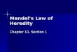 Mendels Law of Heredity Chapter 10, Section 1. The Father of Genetics Gregor Mendels experiments founded many of the principles of Genetics we use today