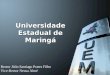 Universidade Estadual de Maringá Rector Júlio Santiago Prates Filho Vice-Rector Neusa Altoé