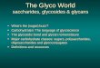 The Glyco World The Glyco World saccharides, glycosides & glycans saccharides, glycosides & glycans The Glyco World The Glyco World saccharides, glycosides