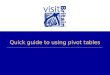 Quick guide to using pivot tables. Quick guide The following slides quickly show you how to get the information you want from pivot tables… Pivot tables