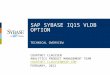 SAP SYBASE IQ15 VLDB OPTION TECHNICAL OVERVIEW COURTNEY CLAUSSEN ANALYTICS PRODUCT MANAGEMENT TEAM COURTNEY.CLAUSSEN@SAP.COM FEBRUARY, 2012