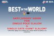 GATE JUDGES GUIDE FOR SINGLE POLE SLALOM & SINGLE GATE GIANT SLALOM* *(HIKING ONLY ALLOWED AT USSA NON-SCORED GS EVENTS)