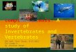 Complex Animals : A study of Invertebrates and Vertebrates EDC 448: Text Study, 9/27/2012 For Grade 9 By Jonathan Brown