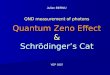QND measurement of photons Quantum Zeno Effect & Schrödingers Cat Julien BERNU YEP 2007