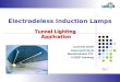 Tunnel Lighting Application Electrodeless Induction Lamps LeuchTek GmbH  Wendenstrasse 279, D-20537 Hamburg V0.1