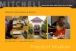 St. Paul, Minn. |  Mitchell Externships & Clinics