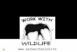 Www.workwithwildlife.co.za Sri Lanka Project presented by