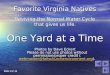 Favorite Virginia Natives Reviving the Normal Water Cycle that gives us life. One Yard at a Time Photos by Dave Eckert Please do not use photos without