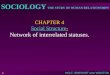 THE STUDY OF HUMAN RELATIONSHIPS SOCIOLOGY HOLT, RINEHART AND WINSTON 1 CHAPTER 4 Social Structure- Network of interrelated statuses. Social Structure-