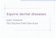 Equine dental diseases Joan Howard ISU Equine Field Services