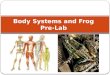 Body Systems and Frog Pre-Lab. Circulatory Digestive Endocrine Excretory Immune Muscular Nervous Reproductive Respiratory Skeletal Skin(Integumentary)