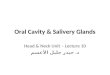 Oral Cavity & Salivery Glands Head & Neck Unit – Lecture 10 د. حيدر جليل الأعسم