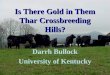Is There Gold in Them Thar Crossbreeding Hills? Darrh Bullock University of Kentucky