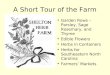 A Short Tour of the Farm Garden Rows – Parsley, Sage Rosemary, and Thyme Edible Flowers Herbs in Containers Herbs for Southeastern North Carolina Farmers