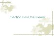 Section Four the Flower. Part One Makeup and Shape Definition The flower is a abnormal short shoot. Physiological Function through blossom out and pollination,than