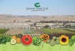 Table of Contents The Company3 Senior Management4 Research5 Photo Gallery of Genesis Seeds Products 8 Growing seed in Israel69 Strategies74 Sales75 2