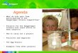 Agenda What do kids gain from participating in the Nysgjerrigper Science Competition? Projects for the Nysgjerrigper Science Fair teach skills in many
