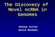 The Discovery of Novel ncRNA in Genomes Andrew Uzilov David Mathews