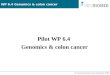 WP 6.4 Genomics & colon cancer 9 th Consortie Meeing Rome September 2006 Pilot WP 6.4 Genomics & colon cancer