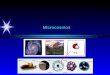 Microcosmos. Microcosmos / Macrocosmos Physics / Chemistry Physics Chemistry can be understood i n the physics of 3 particles (proton, neutron and electrons),