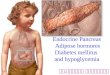 Endocrine Pancreas Adipose hormores Diabetes mellitus and hypoglycemia นพ. ฐสิณัส ดิษยบุตร