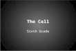 The Cell Sixth Grade. Teaching Message 1: All living things are made up of building blocks called cells