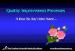 Quality Improvement Processes A Rose By Any Other Name…
