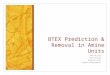 BTEX Prediction & Removal in Amine Units Luke Burton Chad Duncan Armando Diaz Miguel Bagajewicz